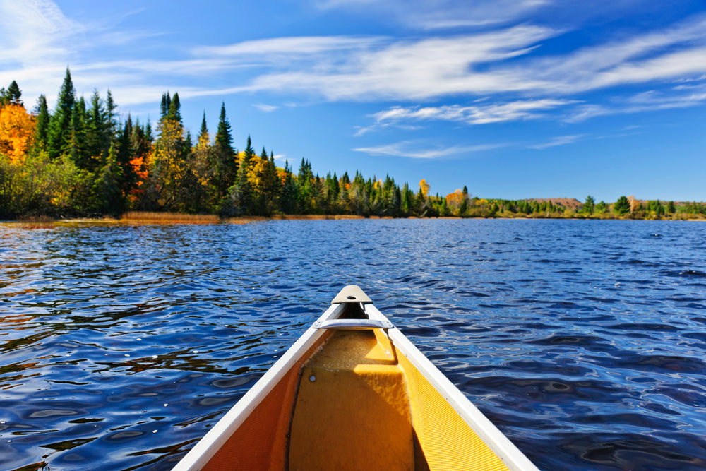 how-to-keep-the-water-of-a-pond-and-lake-clean-goodbye-to-muck-weeds