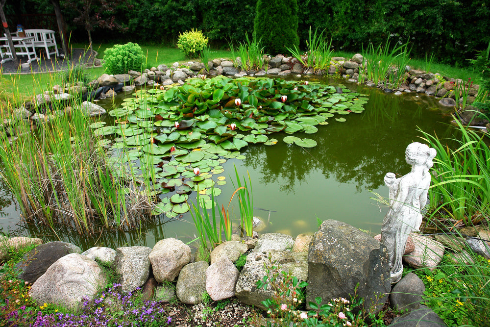 fish pond fountains